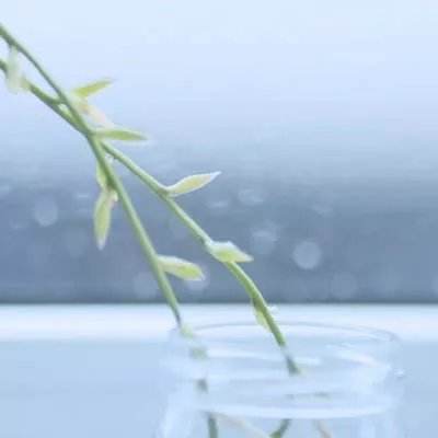 啪啪三国手游果盘版下载